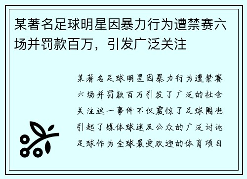 某著名足球明星因暴力行为遭禁赛六场并罚款百万，引发广泛关注
